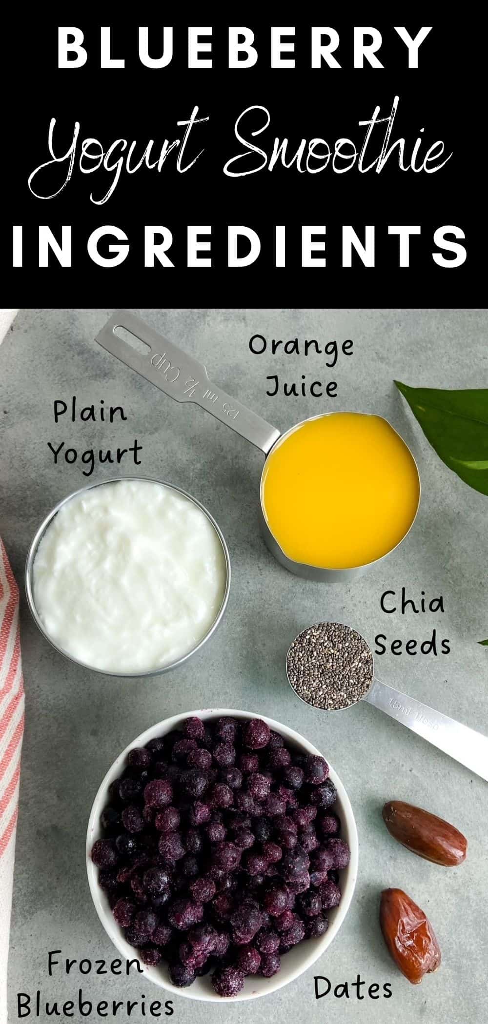A flatlay of blueberry yogurt smoothie ingredients including frozen blueberries, plain yogurt, orange juice, chia seeds and dates arranged neatly on a light grey surface.