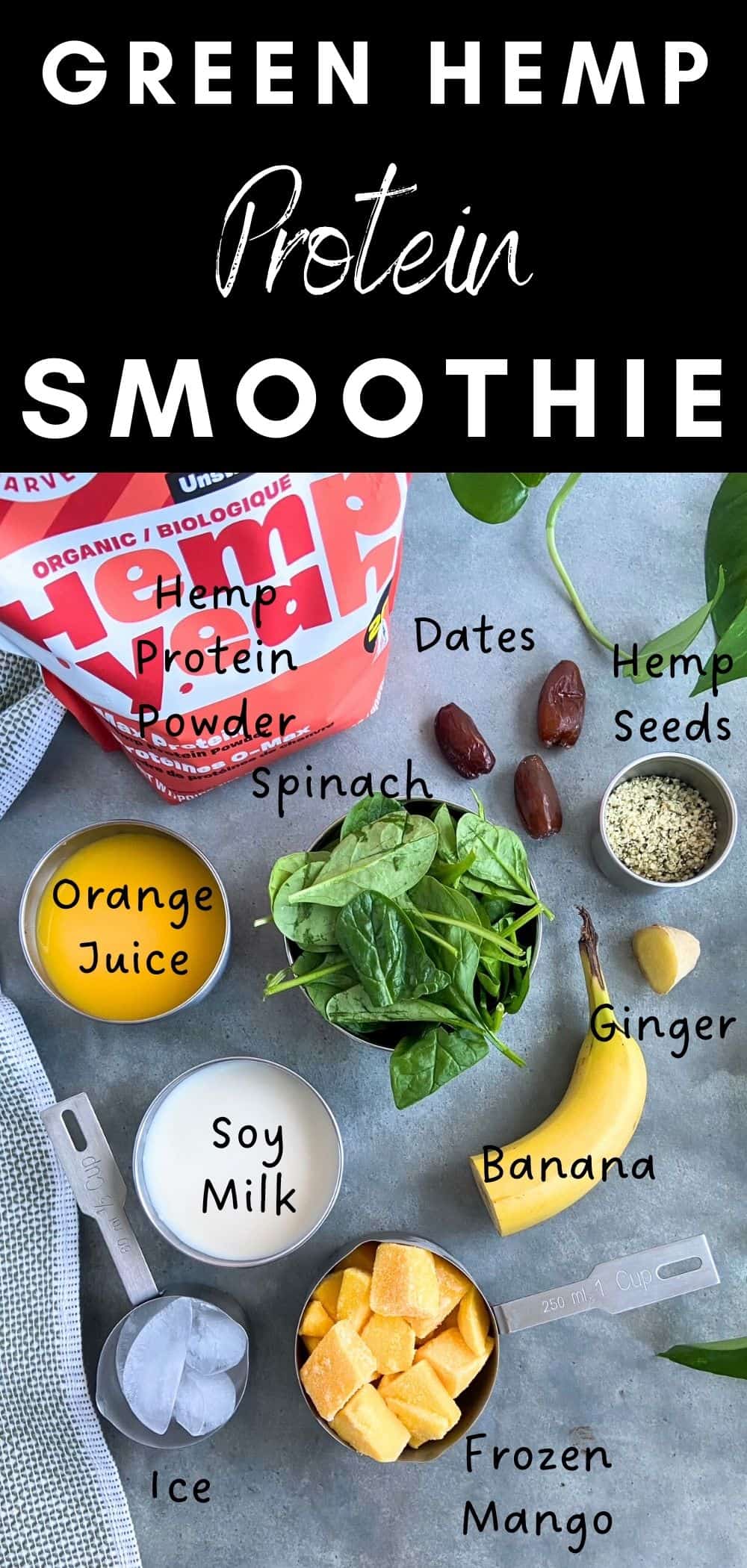 A flat lay of green smoothie ingredients including hemp protein powder, spinach, frozen mango, soy milk, orange juice, banana, dates, ginger, hemp seeds, and ice on a gray surface.